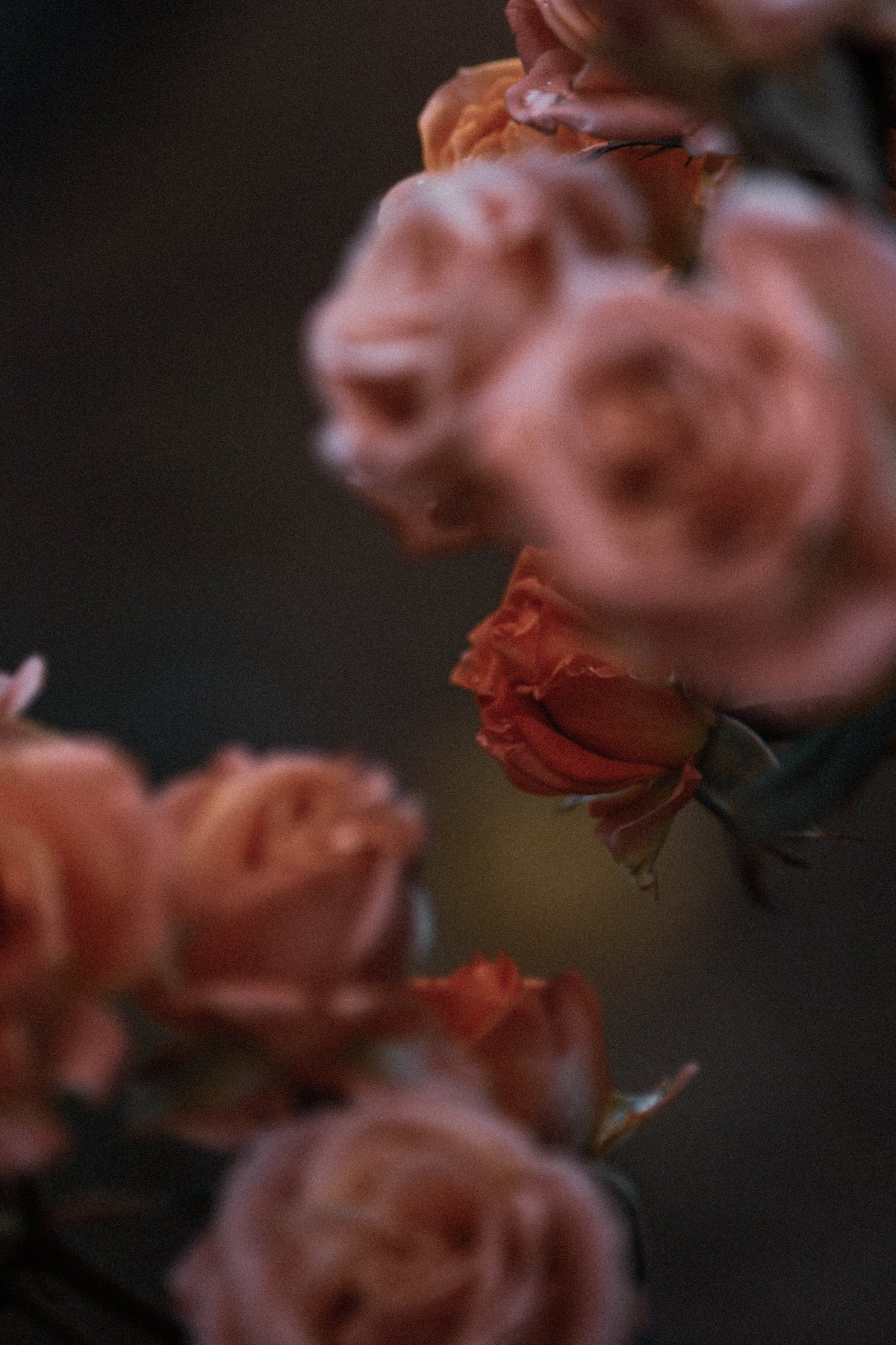 It's Personal - How to Pick the Perfect Valentine's Day Gift