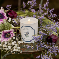 Dalmatian Iris Candle