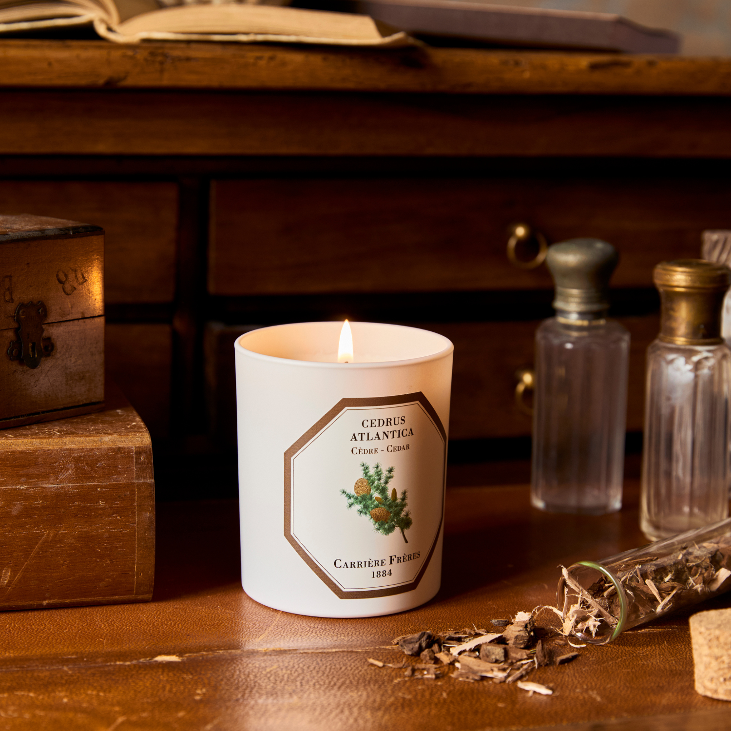 Cedar Scented Candle