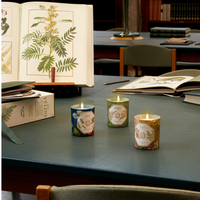 Natural History Museum Acacia Candle