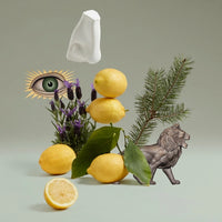 Blenheim Bouquet Eau de Toilette