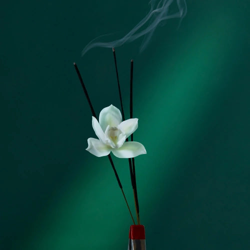 Eau the Audacity Eau de Parfum