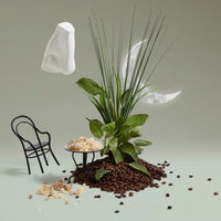 Endymion Cologne Eau de Cologne