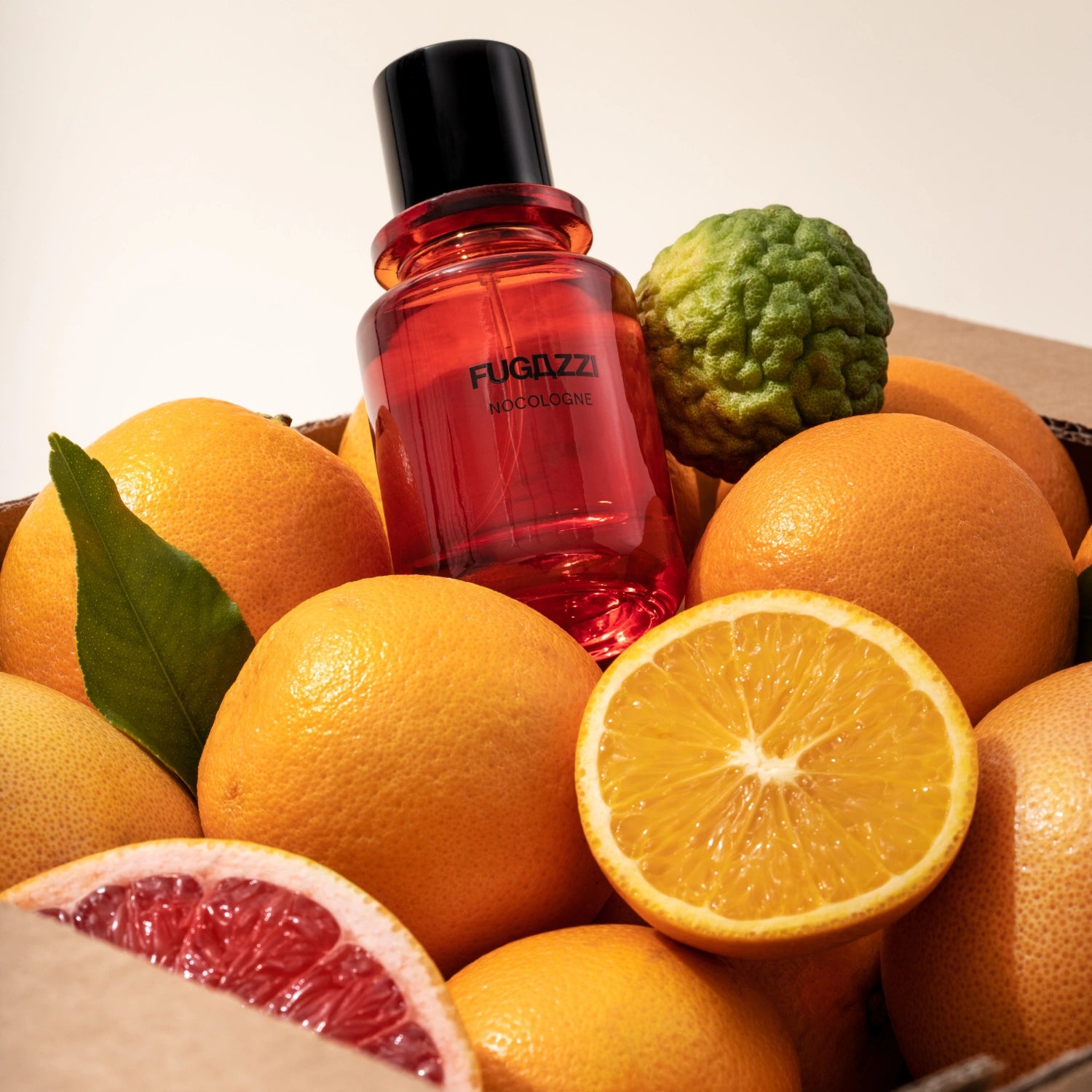 Nocologne Extrait de Parfum