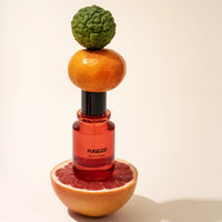 Nocologne Extrait de Parfum