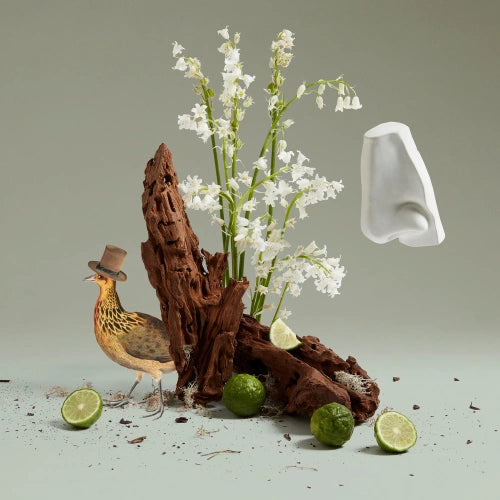 Lily of the Valley Eau de Toilette – Libertine Parfumerie