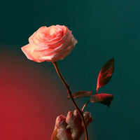 Liquid Love Eau de Parfum