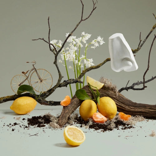 Quercus Eau de Cologne