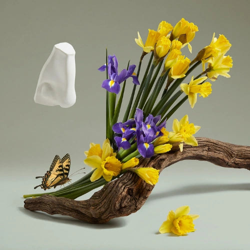 The Revenge of Lady Blanche Eau de Parfum