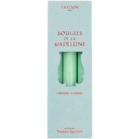 Watery Green Madeleine Taper Candle