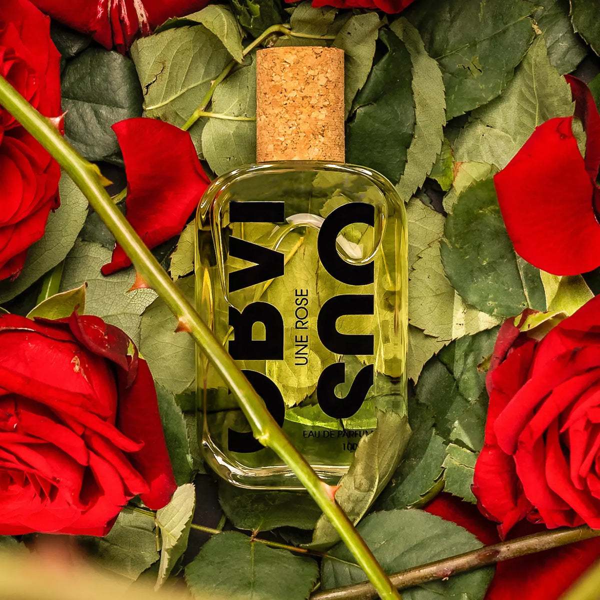 Une Rose – Libertine Parfumerie