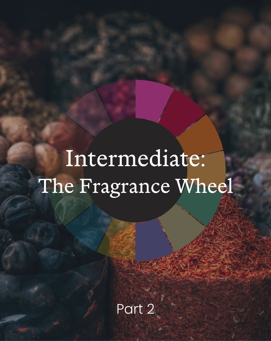 Fragrance Wheel™ Part On-Demand Masterclass – Libertine Parfumerie