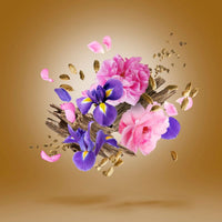 Alexandria II Anniversary