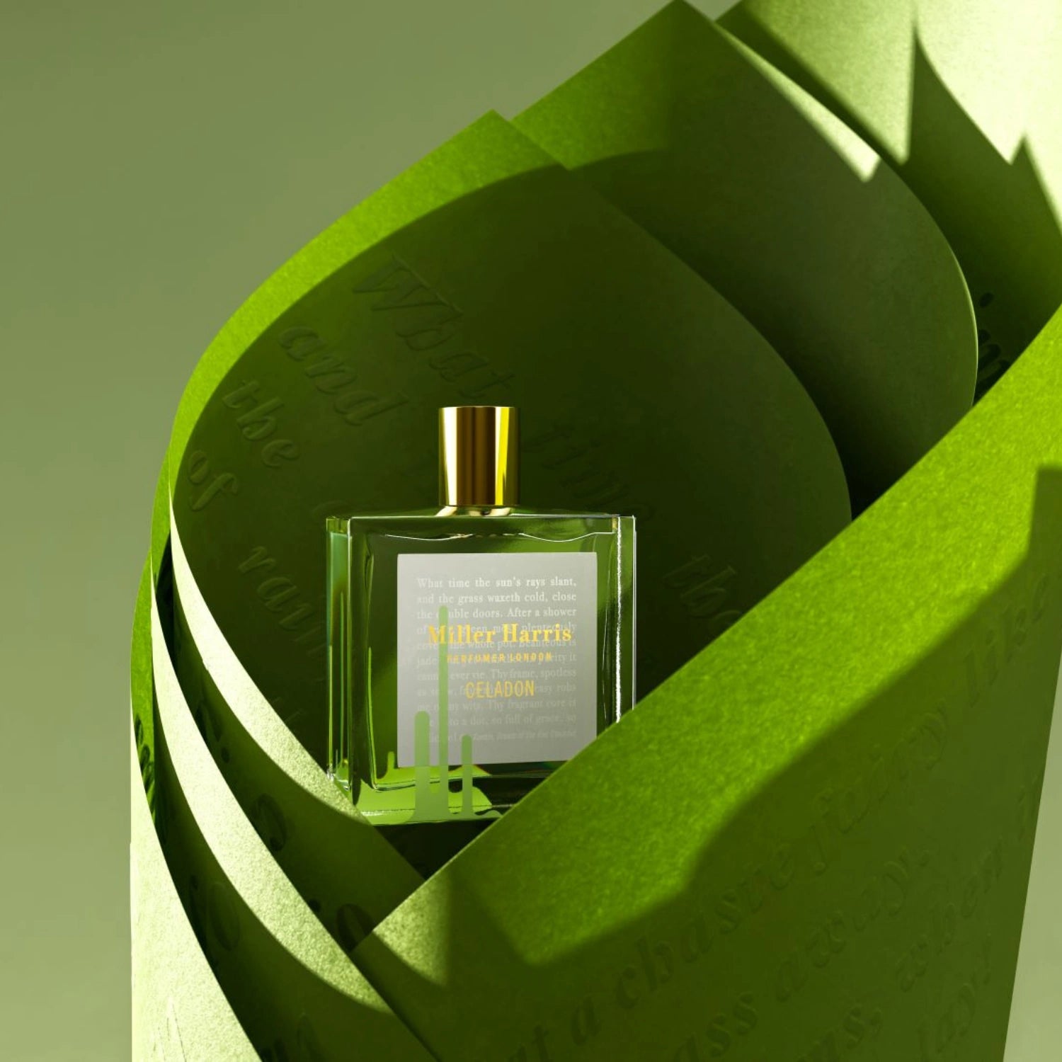 Celadon