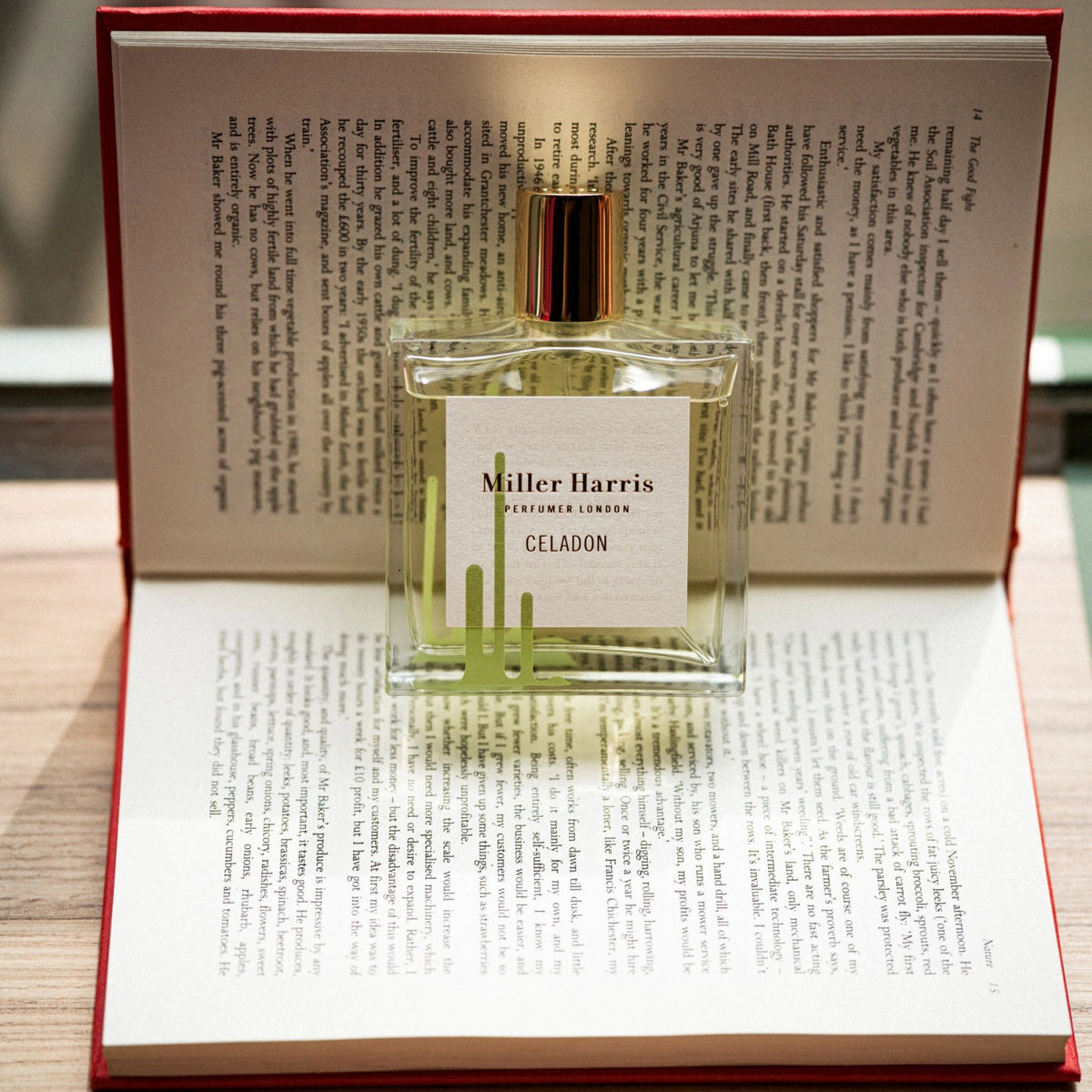 Celadon – Libertine Parfumerie