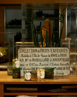 Natural History Museum Absinthe Candle