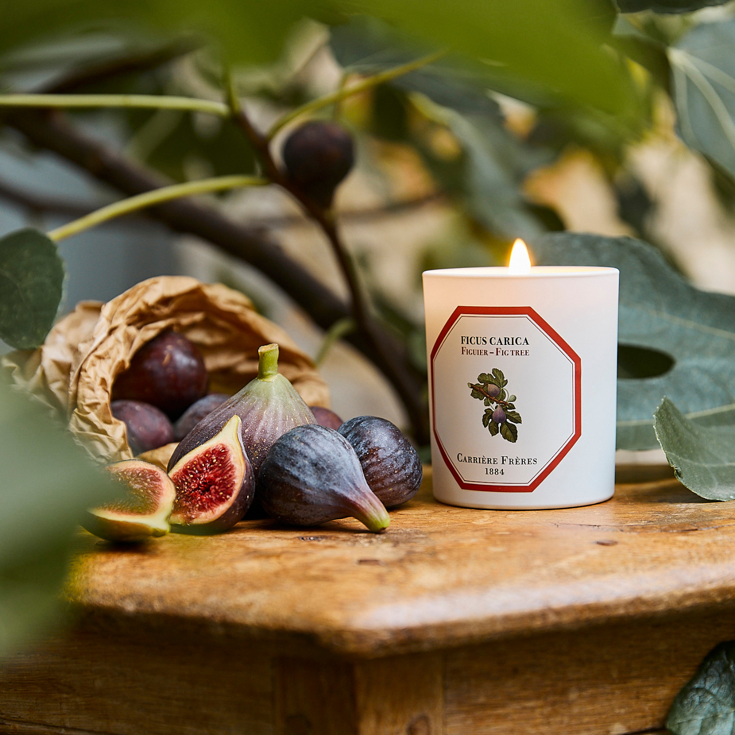 Fig Tree Candle