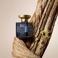 Black Oregano Extrait De Parfum