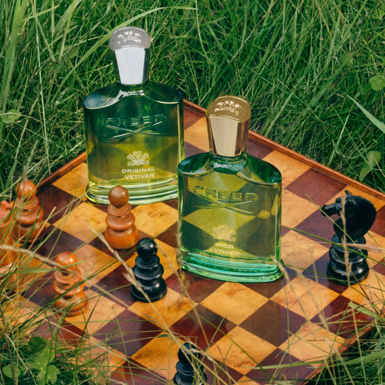 Wild Vetiver