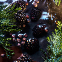 Elysium Noir Travel Spray