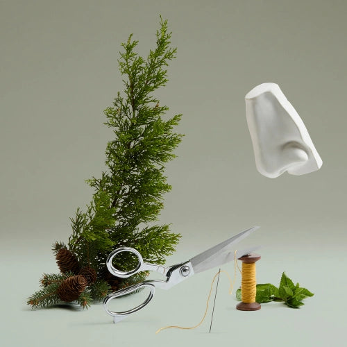 The Cut Eau de Parfum