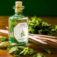 Spearmint Mentha Spicata Diffuser
