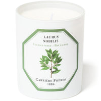 Bay Laurel Candle