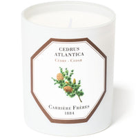 Cedar Scented Candle