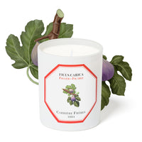 Fig Tree Candle