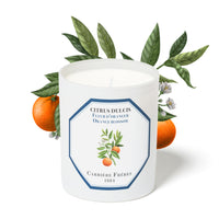 Orange Blossom Candle
