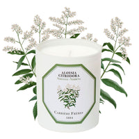 Verbena Candle