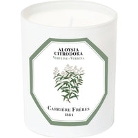 Verbena Candle
