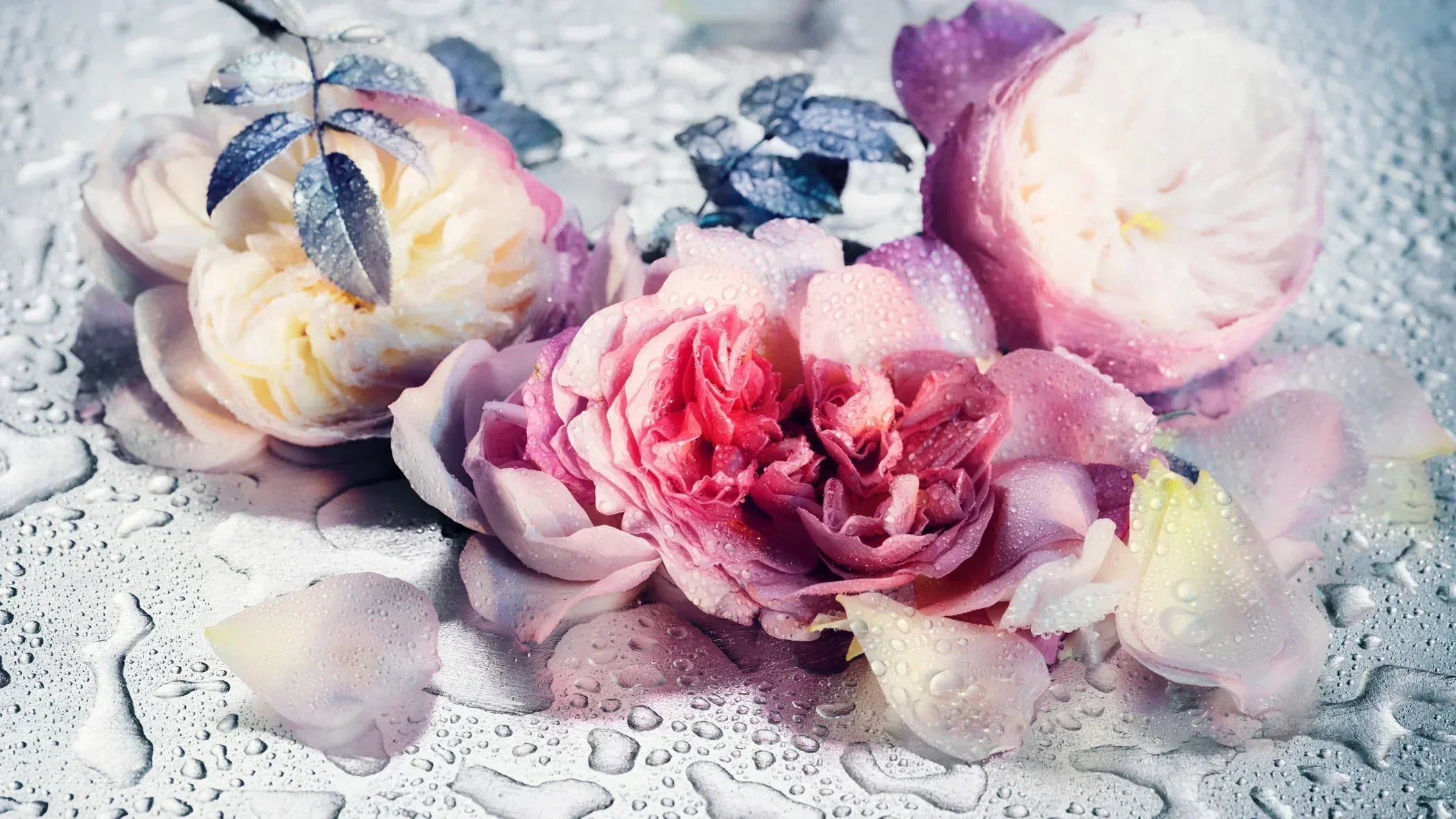 7 Luxury Perfume Mother’s Day Presents That Feel Truly Personal