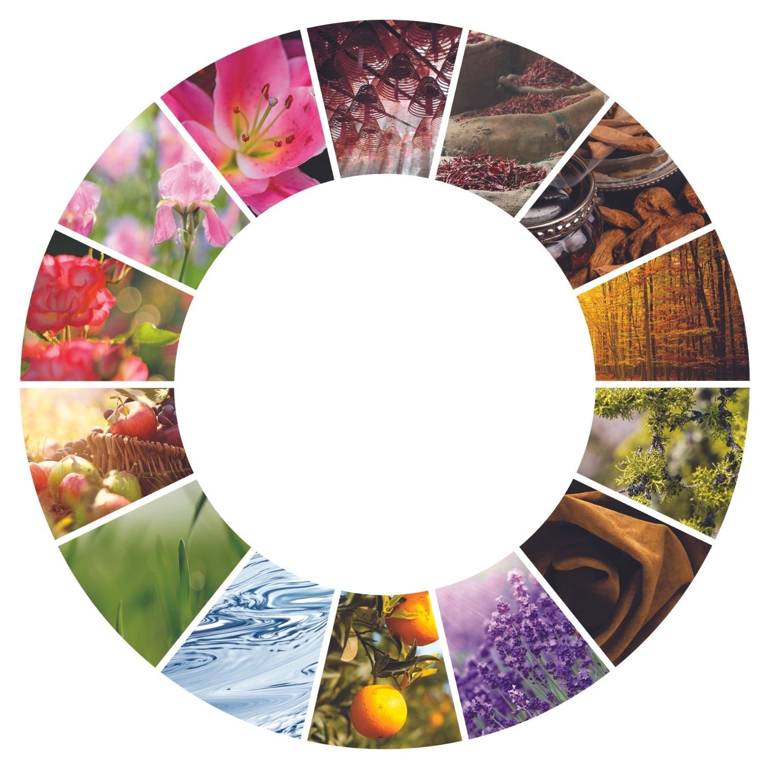 Fragrance Wheel