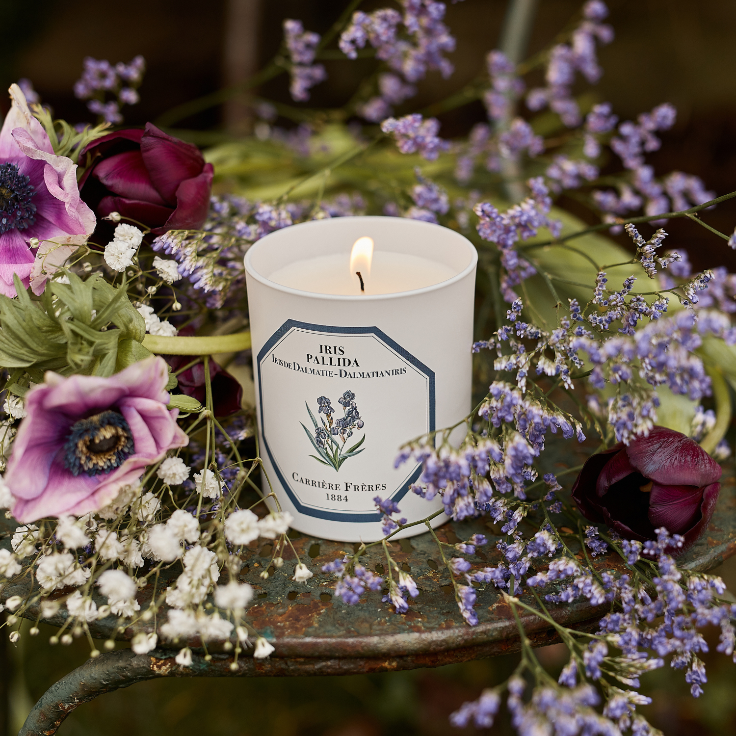 Dalmatian Iris Candle
