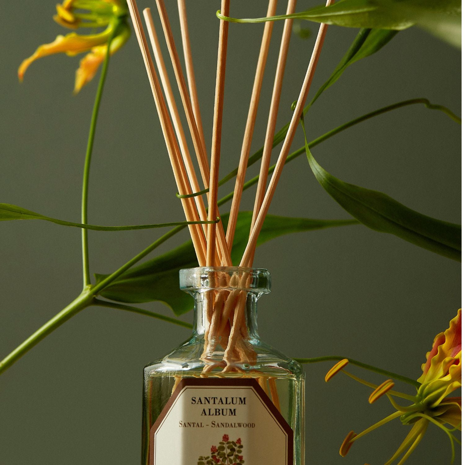 Sandalwood Diffuser