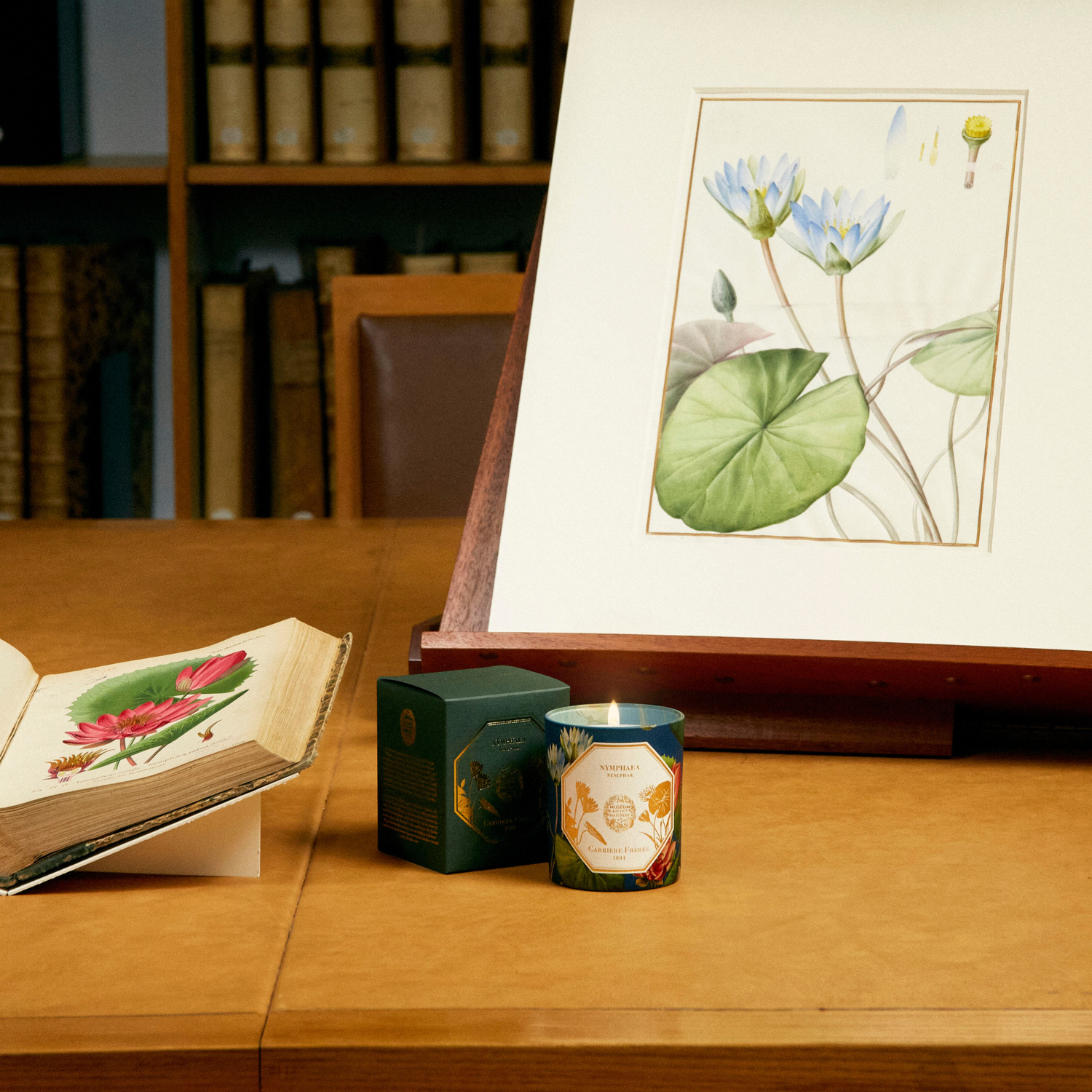 Natural History Museum Waterlily Candle