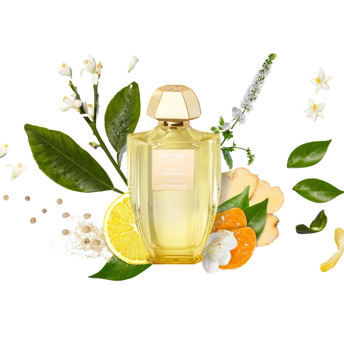 Acqua Originale - Citrus Bigarade