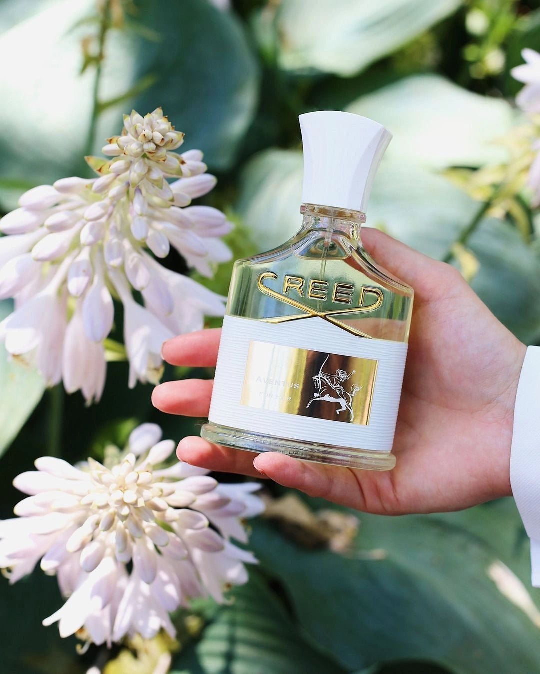 Libertine-Parfumerie-Aventus-For-Her-Creed-75ml.webp__PID:813a3b54-d6c8-4a4d-a400-f640d24c54c6