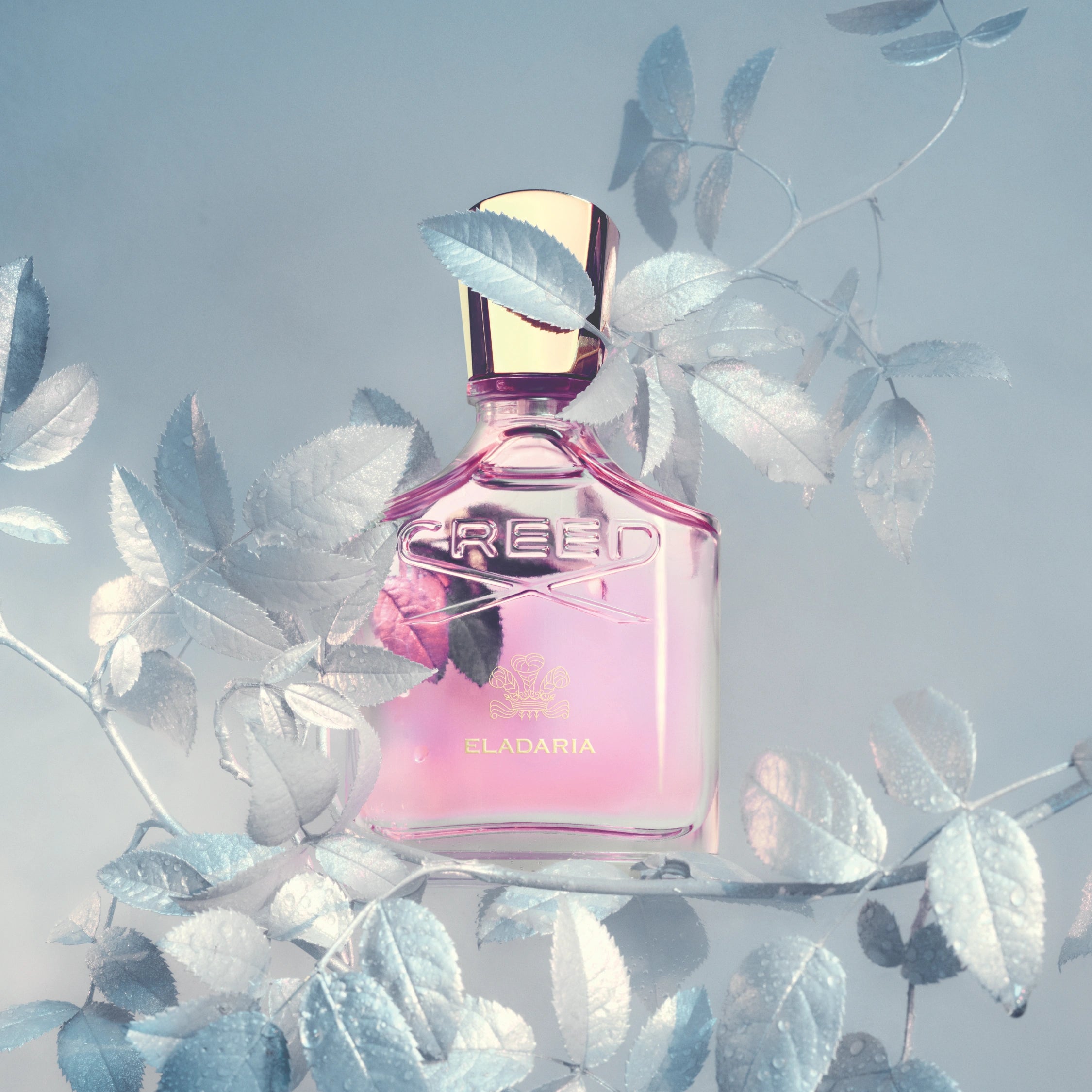 Libertine-Parfumerie-BestFloral-Perfume-For-Women.webp__PID:a9517991-ff5f-4d18-87fc-562a39344cec