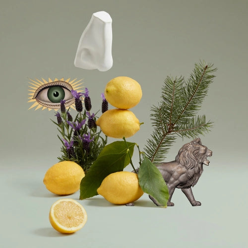 Blenheim Bouquet Eau de Toilette