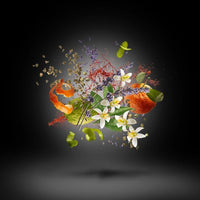 Duran Duran Black Moonlight