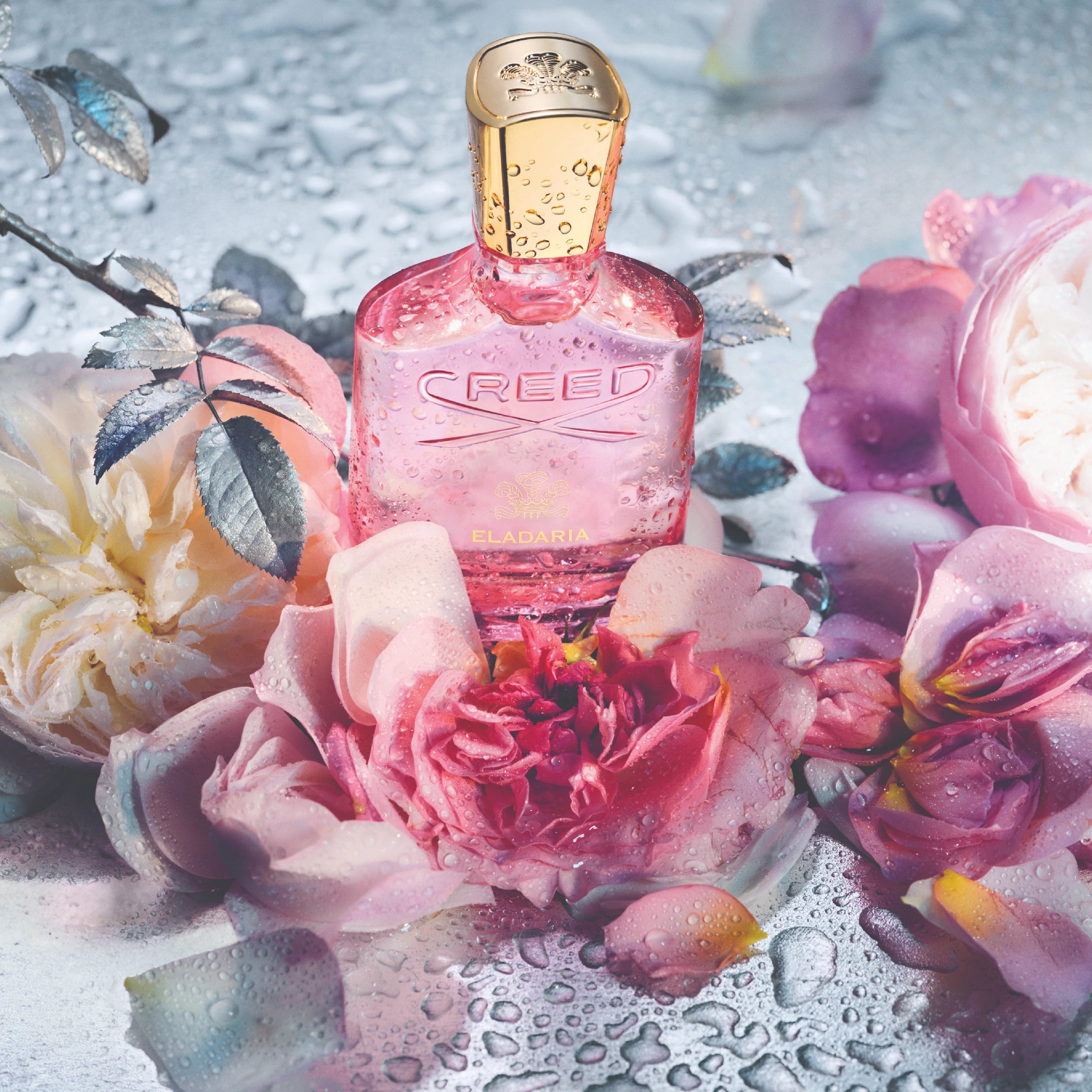 Libertine-Parfumerie-Eladaria-Perfume-For-Her-Creed.webp__PID:89d3e1ea-f524-4363-951c-9bae55a162de