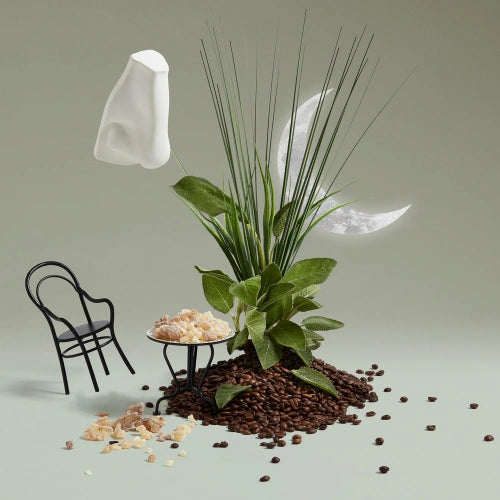 Endymion Cologne Eau de Cologne