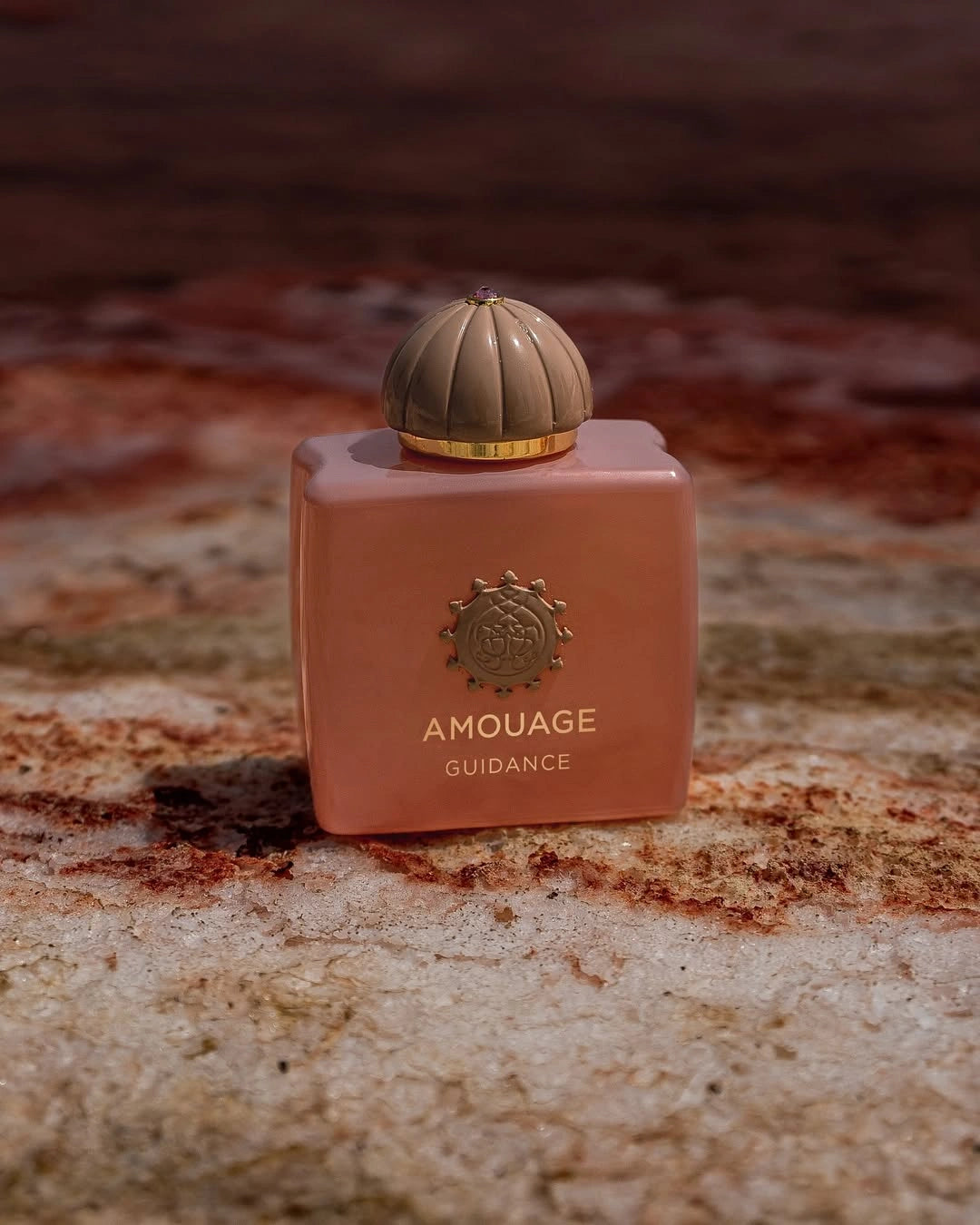 Libertine-Parfumerie-Guidance-Amouage.webp__PID:237fbd38-cf48-441a-a715-df2755958d0c