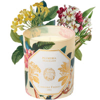 Frangipani Candle