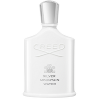 Silver Mountain Water