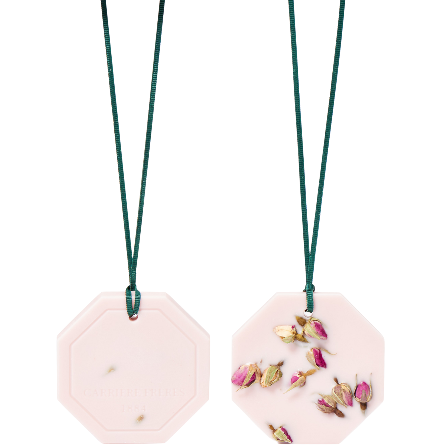 La Rose aime La Menthe Botanical Palet