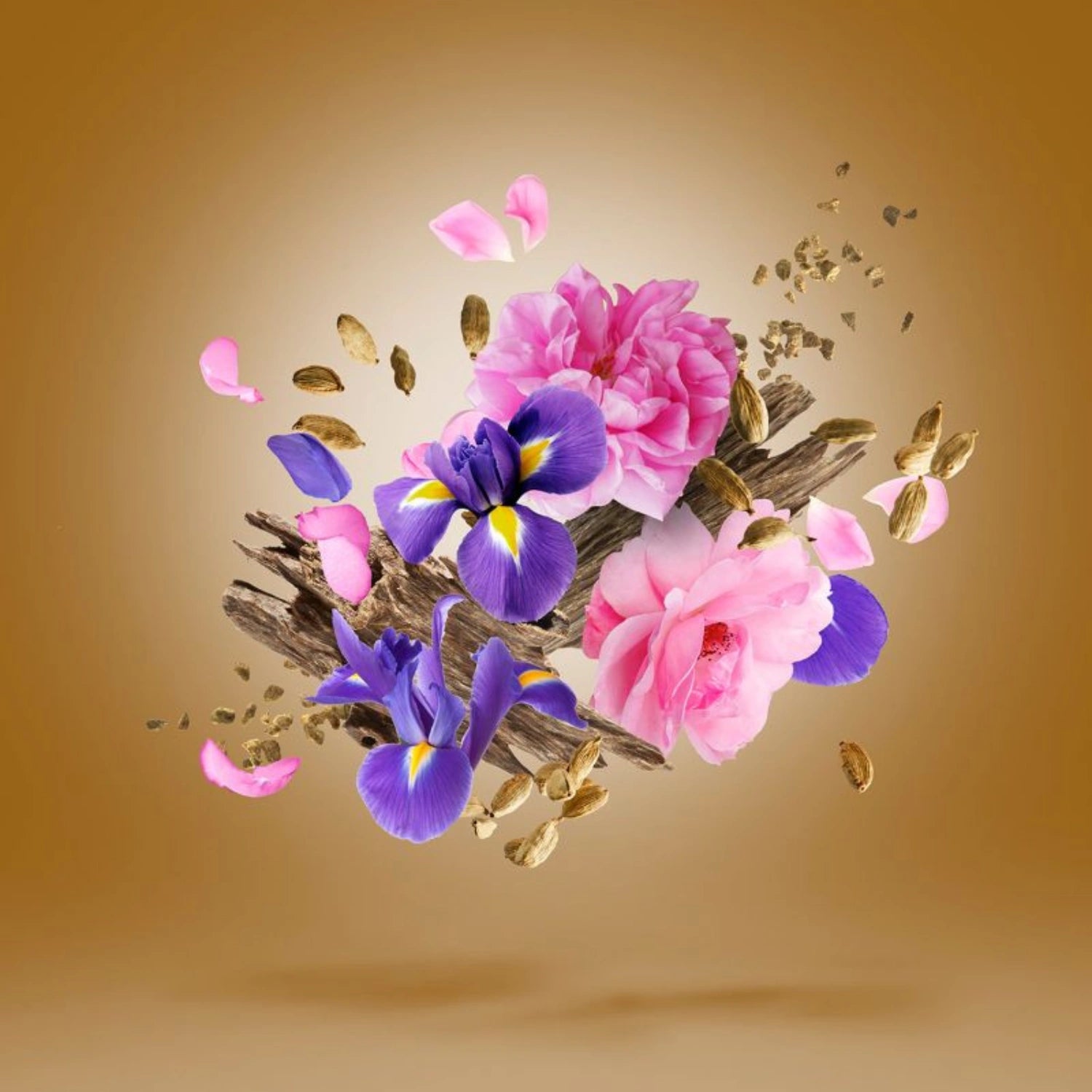 Alexandria II Anniversary