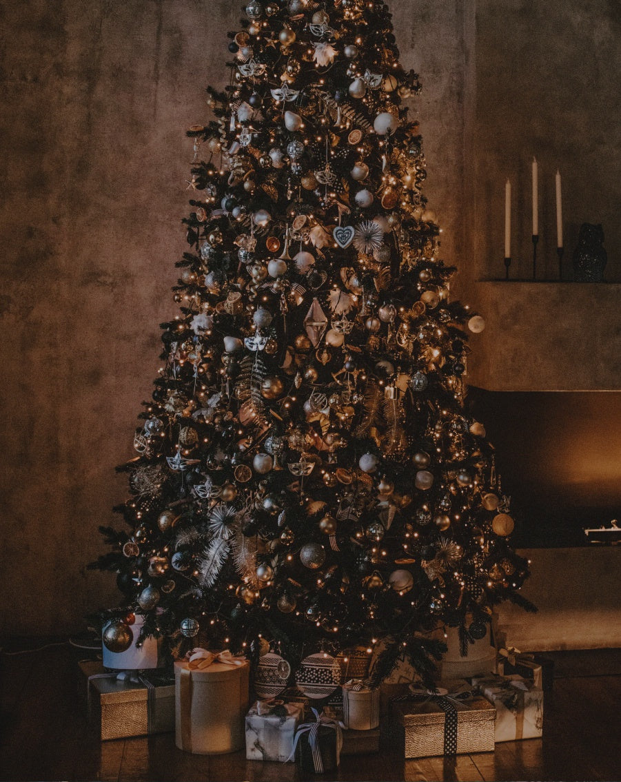 Festive Perfume Masterclass at Libertine New Farm 9 December 2026